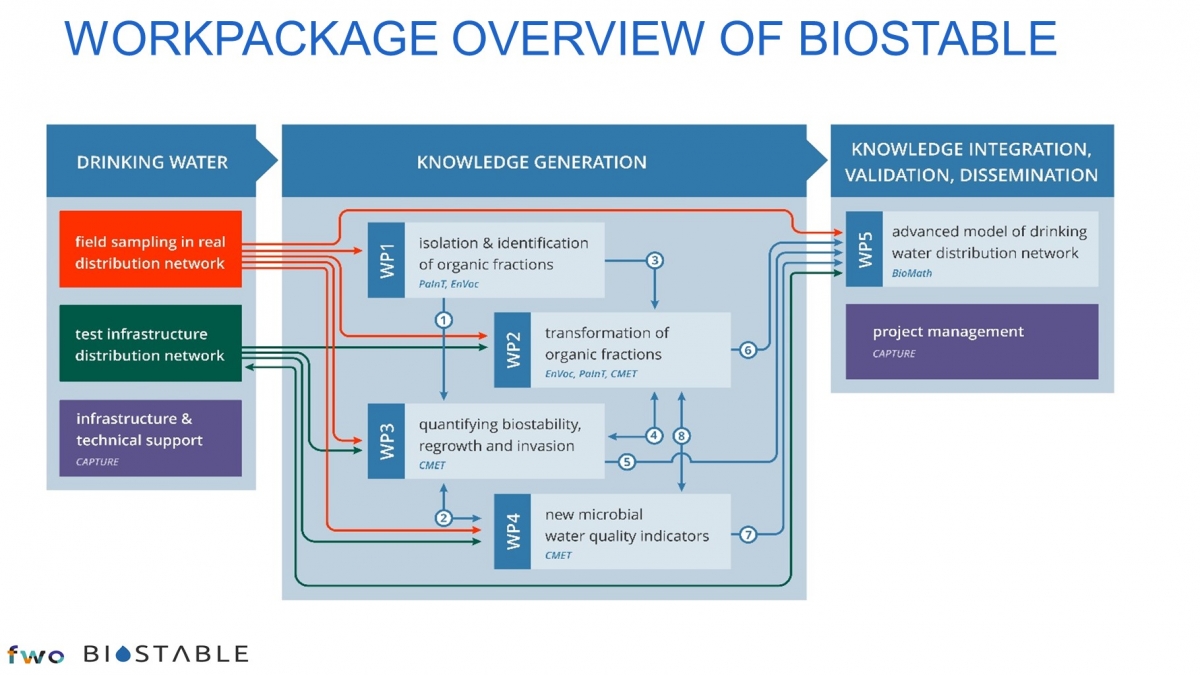 Workpackage overview Biostable